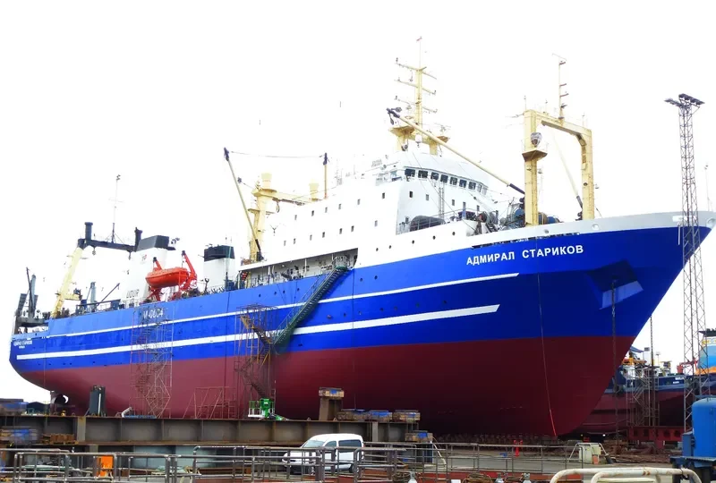 IEVA SIMONAITYTE General Cargo IMO 8607218 photo 8