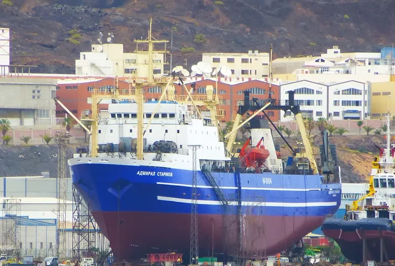 IEVA SIMONAITYTE General Cargo IMO 8607218 photo 9