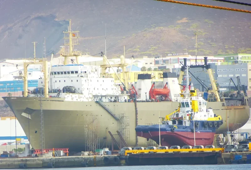 IEVA SIMONAITYTE General Cargo IMO 8607218 photo 10