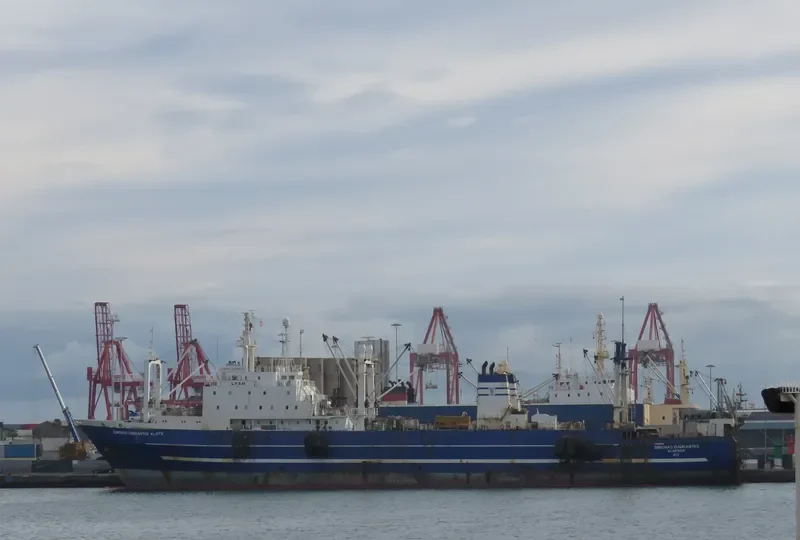 SIMONAS DAUKANTAS General Cargo IMO 8607220