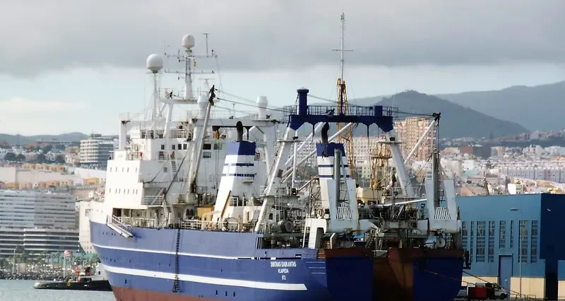 SIMONAS DAUKANTAS General Cargo IMO 8607220 photo 5