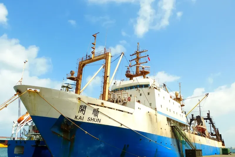 BALTIYSKAYA KOSA General Cargo IMO 8607268 photo 3