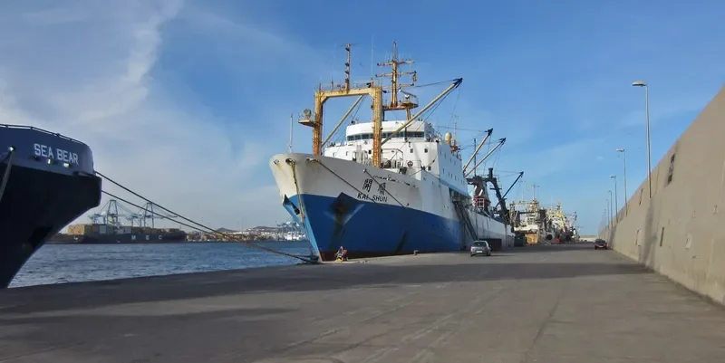 BALTIYSKAYA KOSA General Cargo IMO 8607268 photo 5