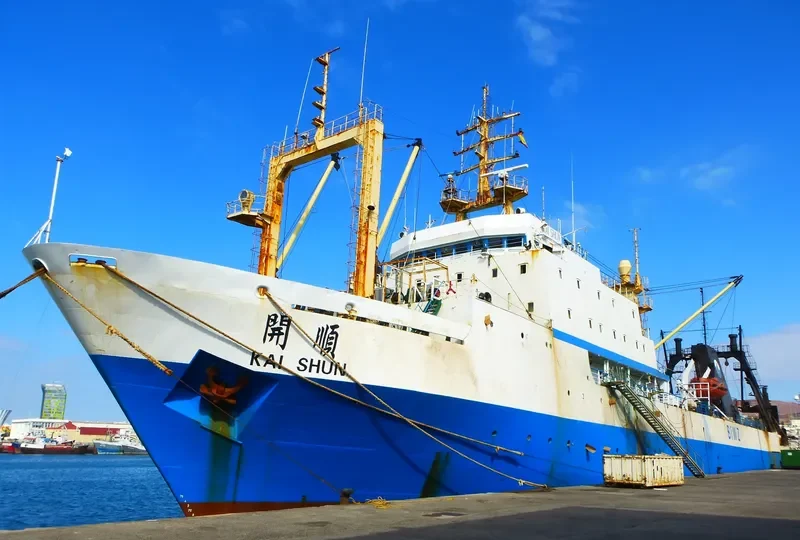 BALTIYSKAYA KOSA General Cargo IMO 8607268 photo 8