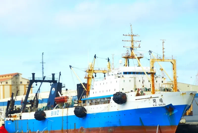 BALTIYSKAYA KOSA General Cargo IMO 8607268 photo 9