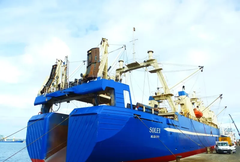 SOLEY General Cargo IMO 8607270 photo 4