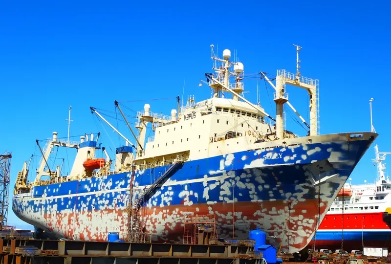 SOLEY General Cargo IMO 8607270 photo 5
