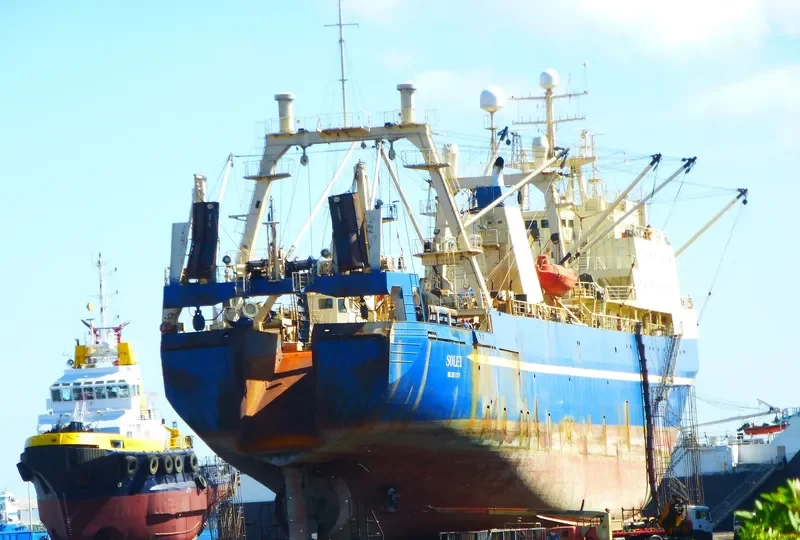 SOLEY General Cargo IMO 8607270 photo 6