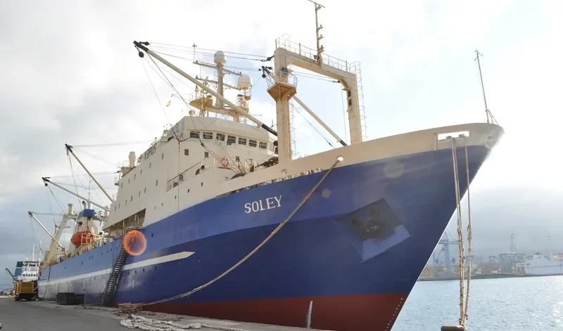 SOLEY General Cargo IMO 8607270 photo 7