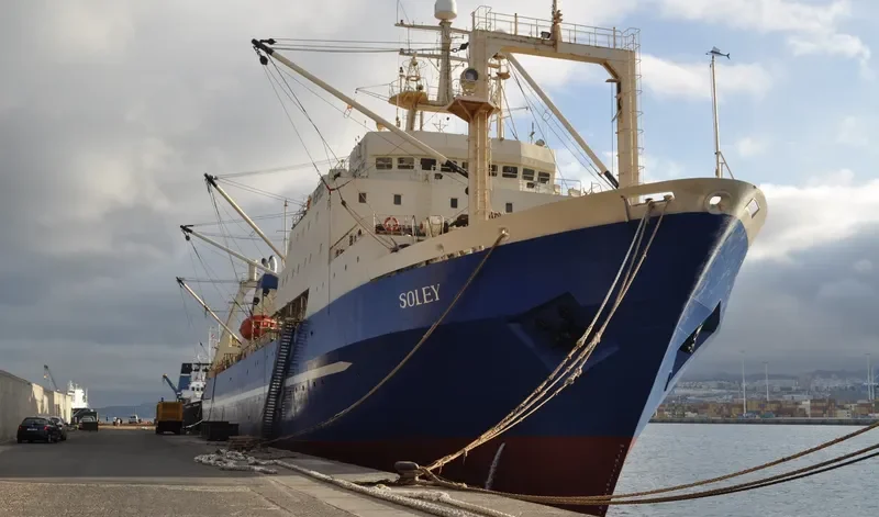 SOLEY General Cargo IMO 8607270 photo 8