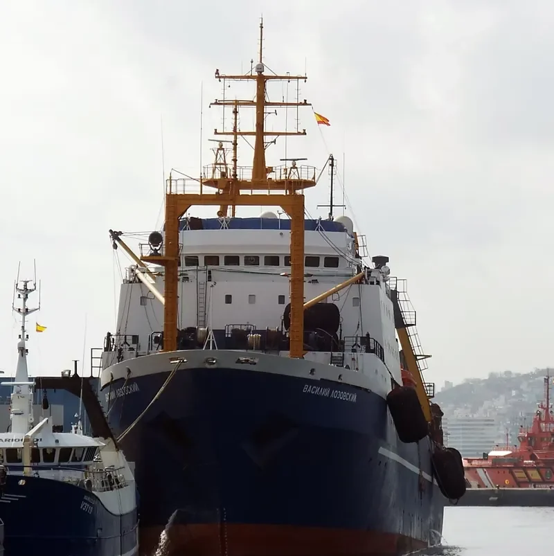 VASILIY LOZOVSKIY General Cargo IMO 8607323 photo 3