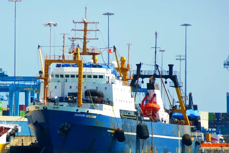 VASILIY LOZOVSKIY General Cargo IMO 8607323 photo 6