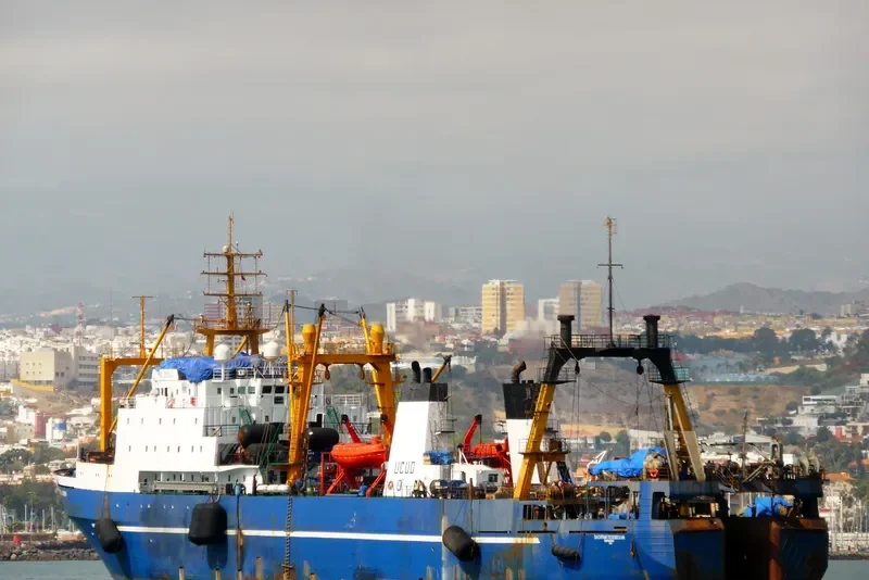 VASILIY LOZOVSKIY General Cargo IMO 8607323 photo 7