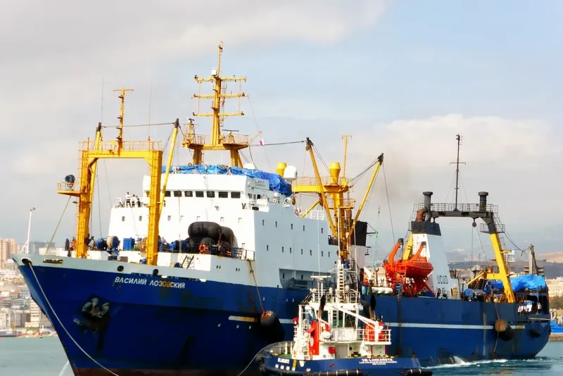 VASILIY LOZOVSKIY General Cargo IMO 8607323 photo 8