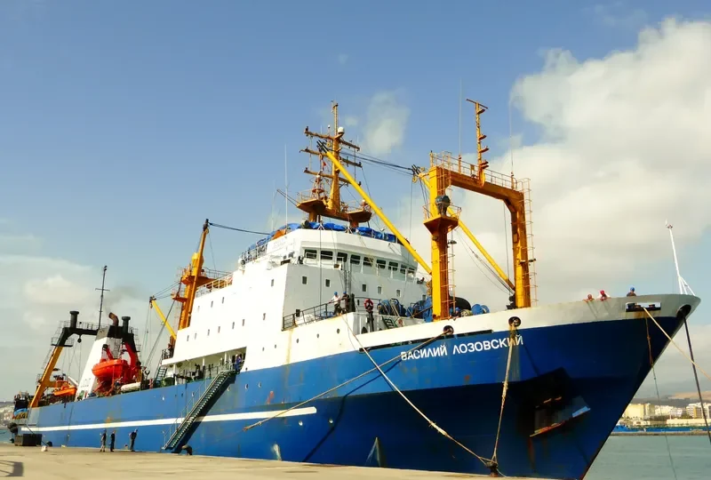 VASILIY LOZOVSKIY General Cargo IMO 8607323 photo 10