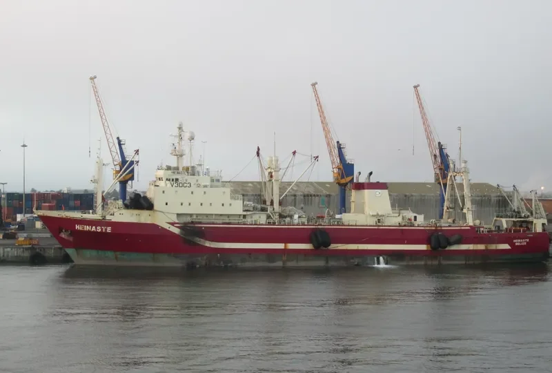TUTUNGENI General Cargo IMO 8607347