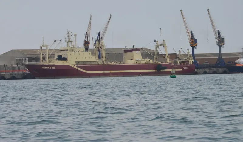 TUTUNGENI General Cargo IMO 8607347 photo 2