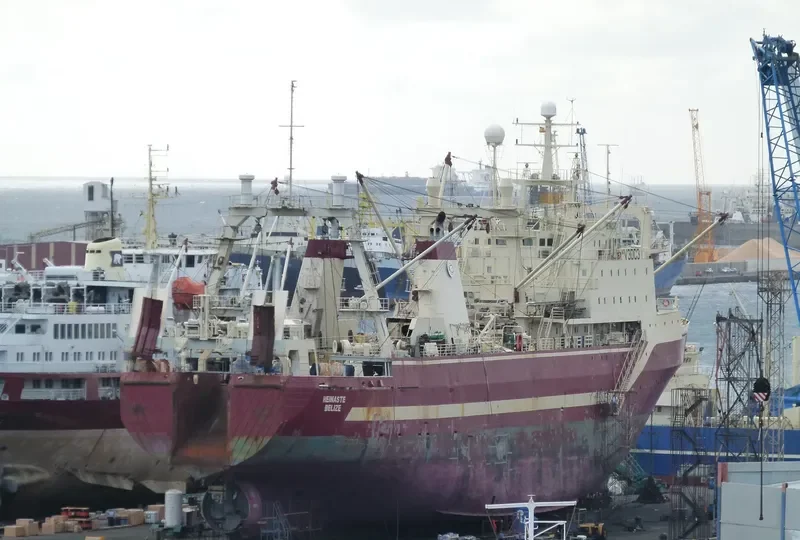 TUTUNGENI General Cargo IMO 8607347 photo 4