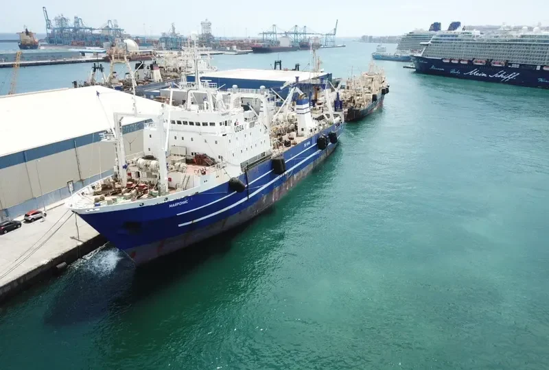 MAIRONIS General Cargo IMO 8607359 photo 2