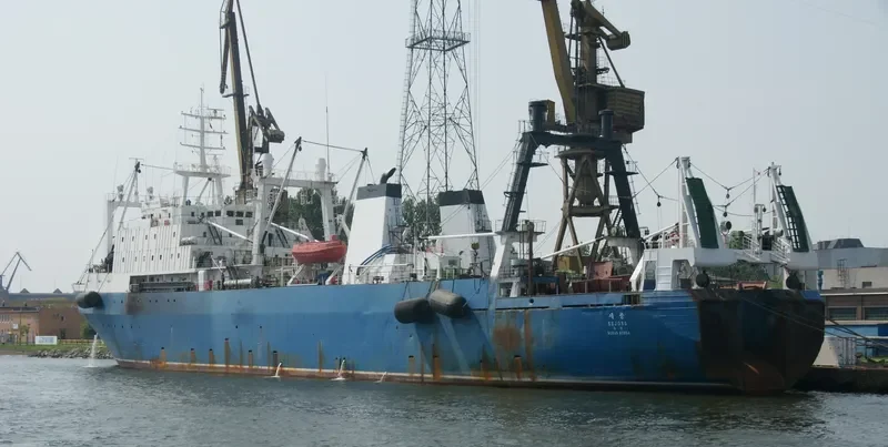 SEJONG General Cargo IMO 8607385 photo 4
