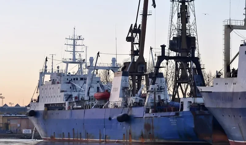 SEJONG General Cargo IMO 8607385 photo 6