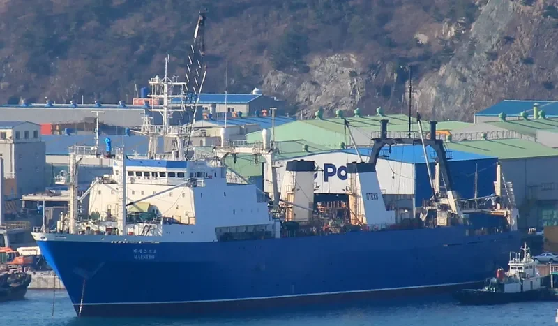 SEJONG General Cargo IMO 8607385 photo 8