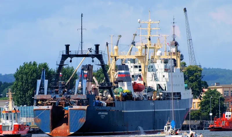 BORIS SYROMYATNIKOV General Cargo IMO 8607414 photo 6