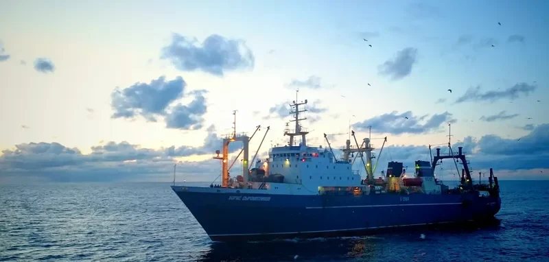 BORIS SYROMYATNIKOV General Cargo IMO 8607414 photo 7