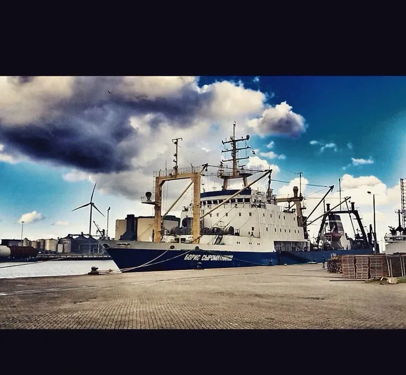 BORIS SYROMYATNIKOV General Cargo IMO 8607414 photo 10