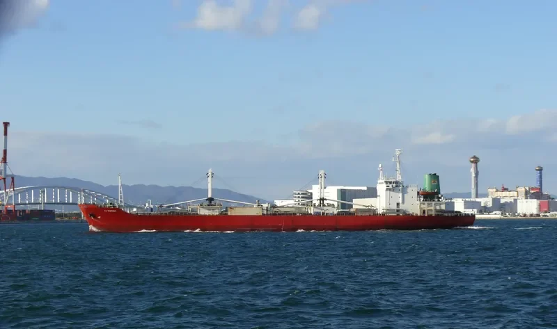 FITZROY General Cargo IMO 8607464