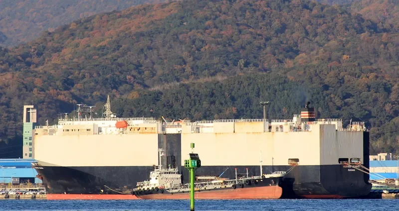 HUDSON LEADER General Cargo IMO 8607749 photo 4