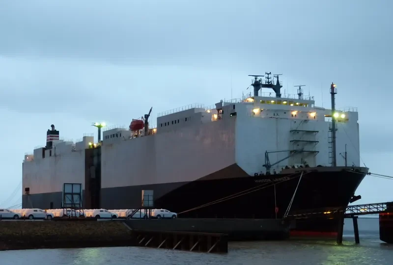 HUDSON LEADER General Cargo IMO 8607749 photo 10