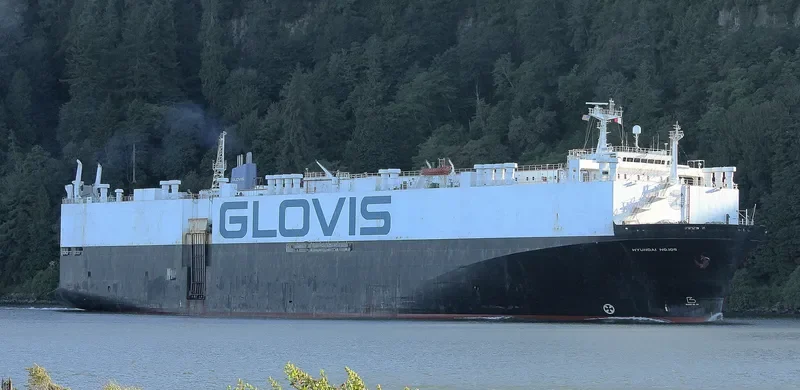 HYUNDAI NO.106 General Cargo IMO 8608157 photo 7