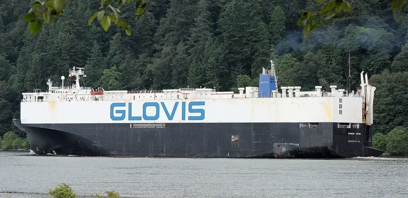 HYUNDAI NO.106 General Cargo IMO 8608157 photo 8