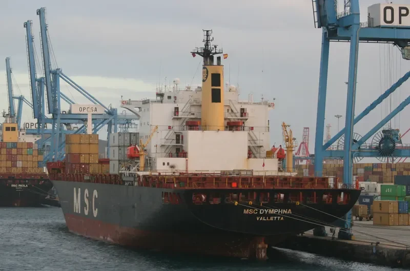 MSC DYMPHNA Container Ship IMO 8608195 photo 2