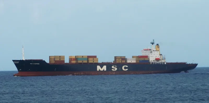 MSC DYMPHNA Container Ship IMO 8608195 photo 8