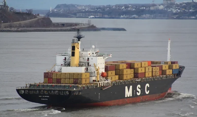 MSC DYMPHNA Container Ship IMO 8608195 photo 10