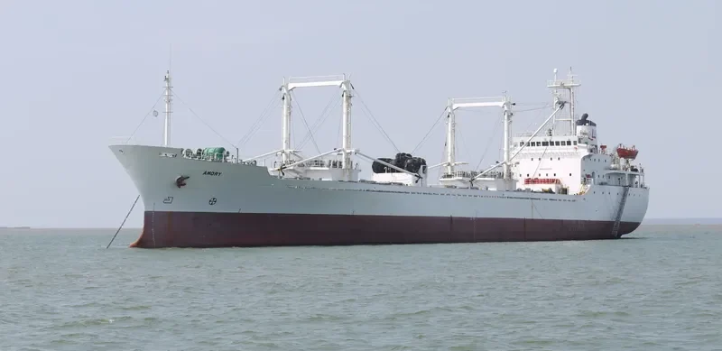 AMORY General Cargo IMO 8608597