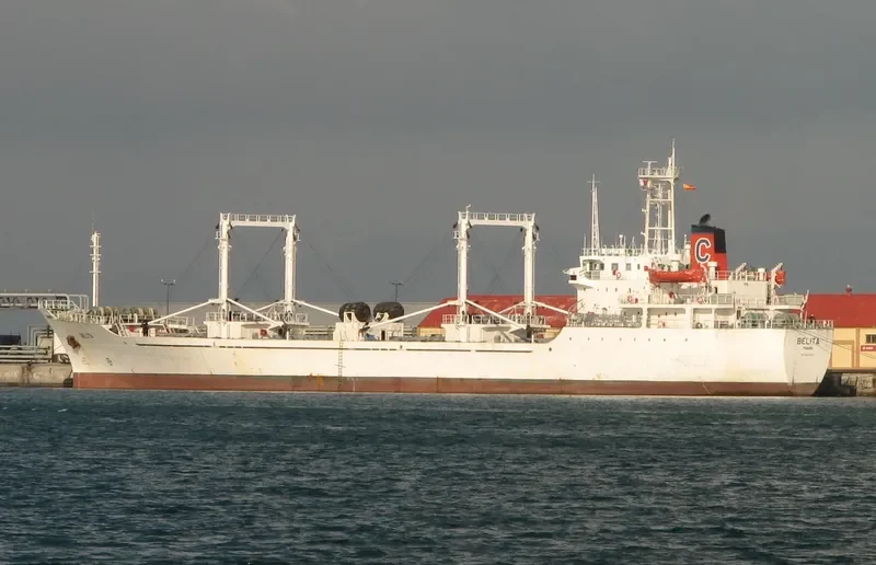 AMORY General Cargo IMO 8608597 photo 4