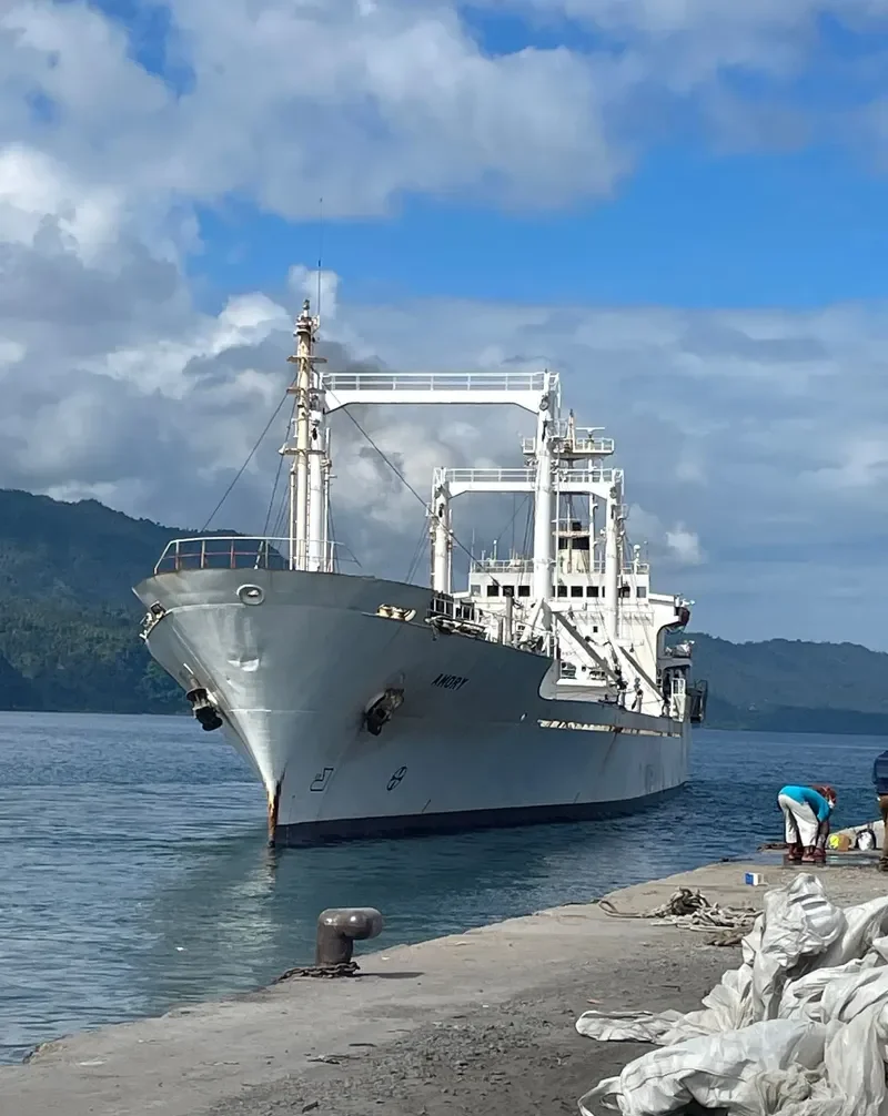 AMORY General Cargo IMO 8608597 photo 5
