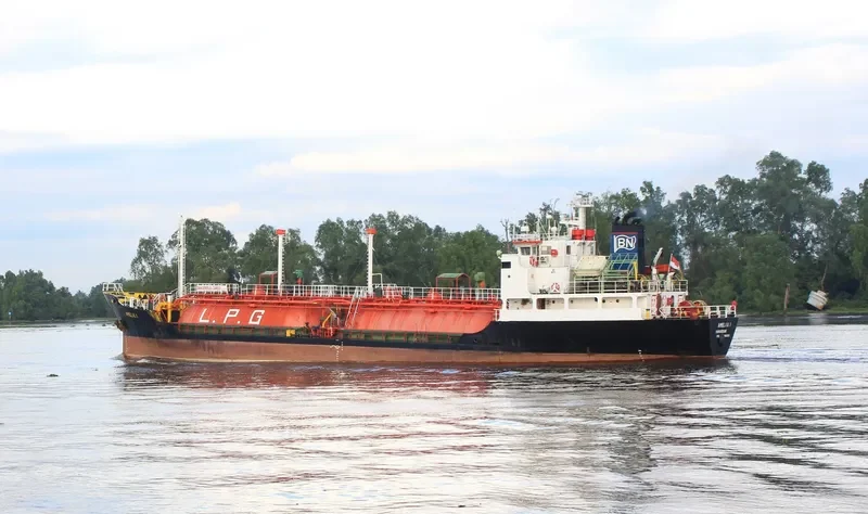 AMELIA 1 General Cargo IMO 8608901 photo 3