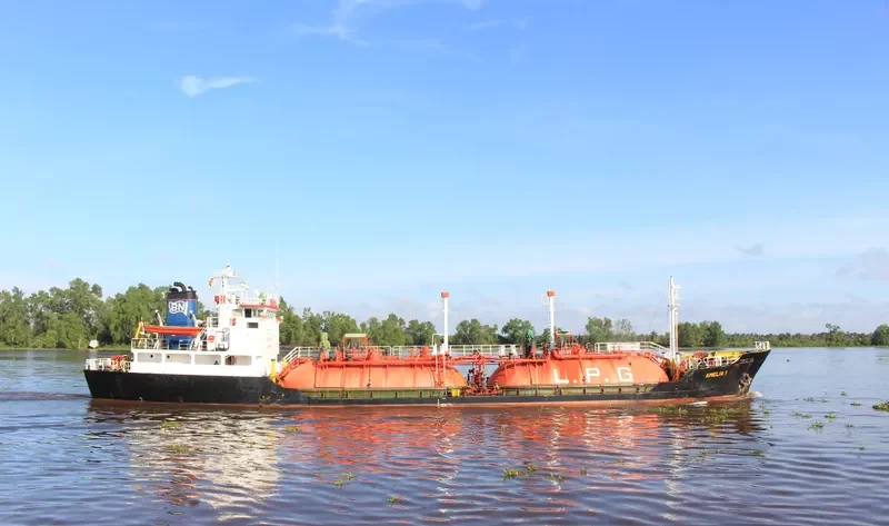 AMELIA 1 General Cargo IMO 8608901 photo 5