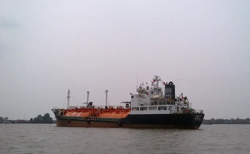 AMELIA 1 General Cargo IMO 8608901 photo 9
