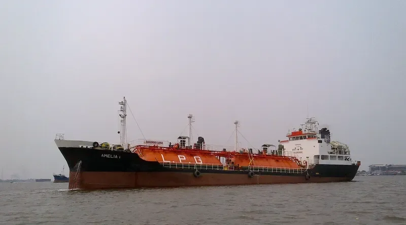 AMELIA 1 General Cargo IMO 8608901 photo 10