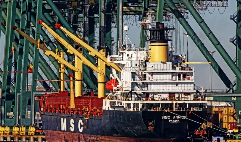 MSC ANNICK Container Ship IMO 8609589