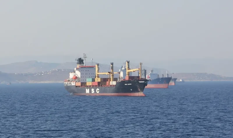 MSC ANNICK Container Ship IMO 8609589 photo 2