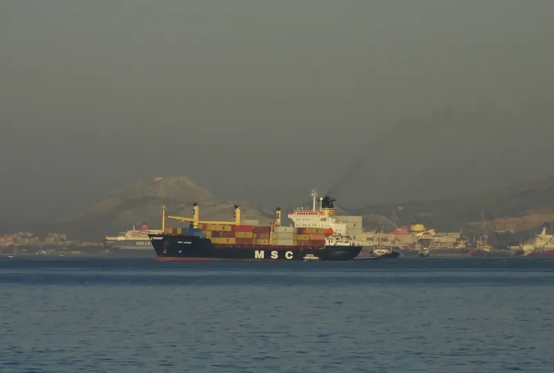 MSC ANNICK Container Ship IMO 8609589 photo 4