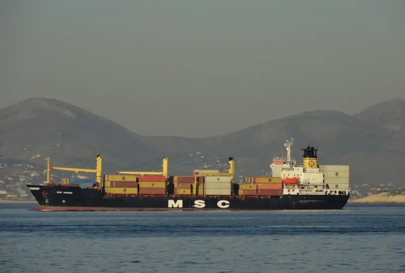 MSC ANNICK Container Ship IMO 8609589 photo 5