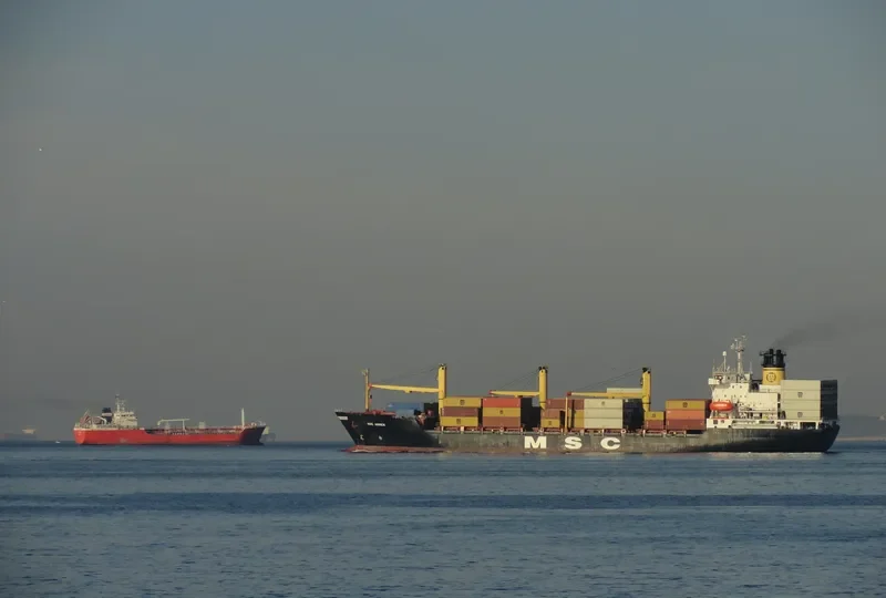 MSC ANNICK Container Ship IMO 8609589 photo 6