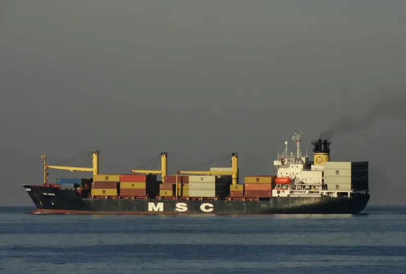 MSC ANNICK Container Ship IMO 8609589 photo 7